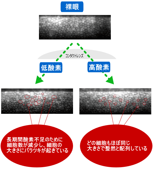 Ȃ_f悭ʂR^Ng悢̂H